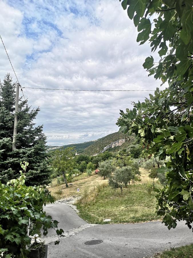House Ceh Villa Črni Kal Dış mekan fotoğraf