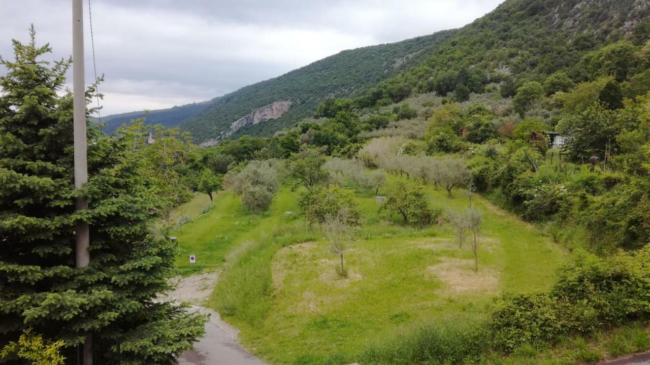 House Ceh Villa Črni Kal Dış mekan fotoğraf